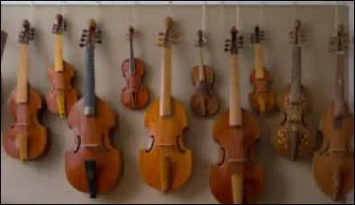 Combien de violons pouvez-vous entendre dans quatuor à cordes ?