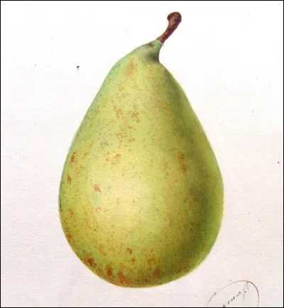 Quelle ville fut capitale européenne de la culture en 1994 ?