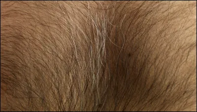 Avoir un poil dans .....