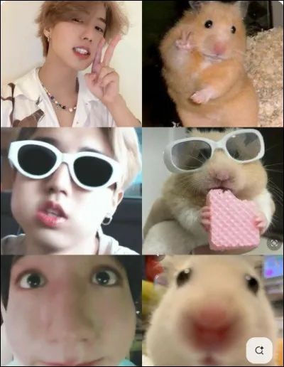 Et pour finir,
Aimes-tu le cheesecake ?
(C'est un gâteau au fromage.)