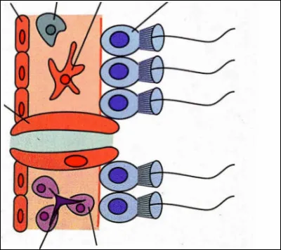 Qu'est-ce que ce schéma ?