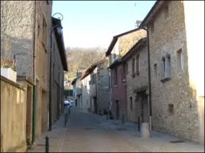 Commune de la métropole de Lyon, sur la rive droite de la Saône, Saint-Romain-au-Mont-d'Or se situe dans le département ...