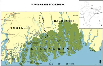 Maître incontesté de ce royaume végétal !