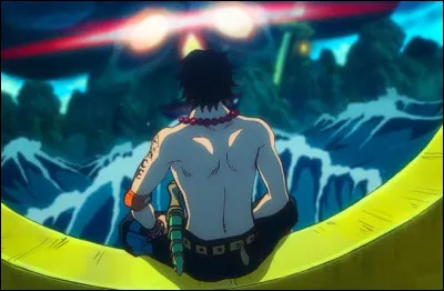 Quel est le nom du fruit de Ace ?