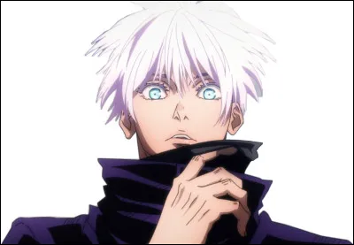 Quel est le fruit du d&eacute;mon de Nico Robin ?