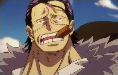 Comment sappelle lorganisation criminelle dirigée par Crocodile ?