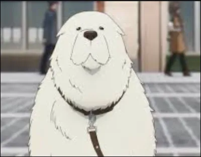 Dans quel animé voit-on ce personnage ?
