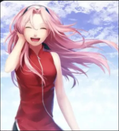 Dans quel animé voit-on ce personnage ?