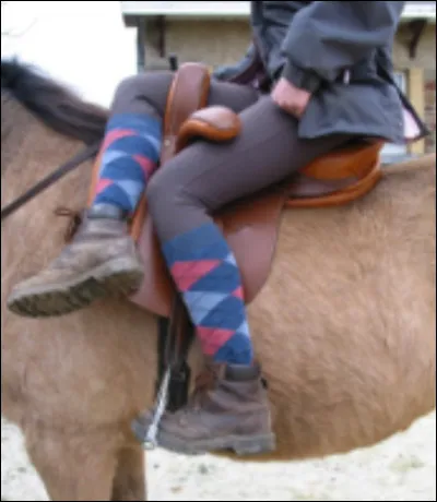 Quelle est cette monte ?