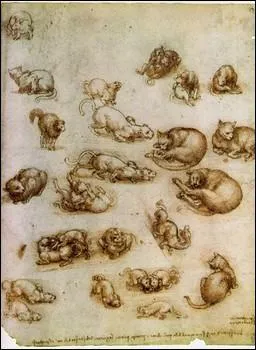 Qui a peint Etude du mouvement des chats ?