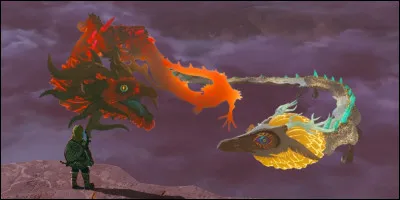Salut si tu connais ce quiz c'est que tu es un pro... 
D'abord comment le dragon blanc et le dragon noir s'appellent-ils ?