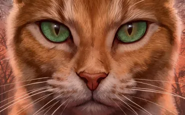 Quiz Littrature, posie