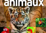 Quiz Les animaux