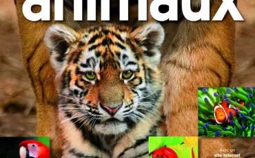 Quiz Animaux