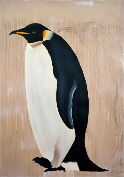 Comment s'appelle cet animal ?