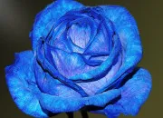 Test Couleur