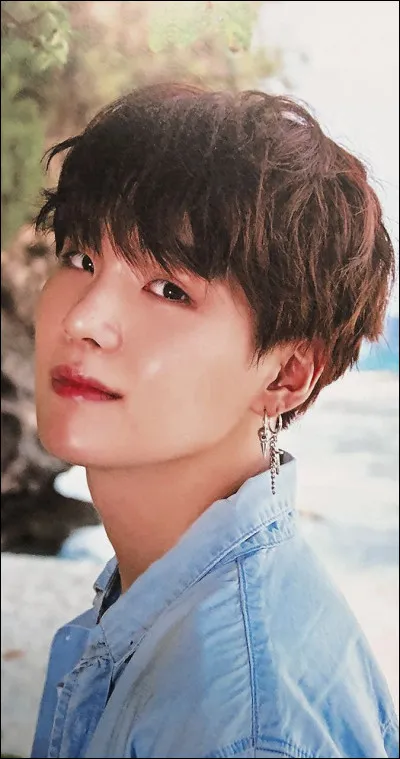 Quel est le BT21 de Suga ?