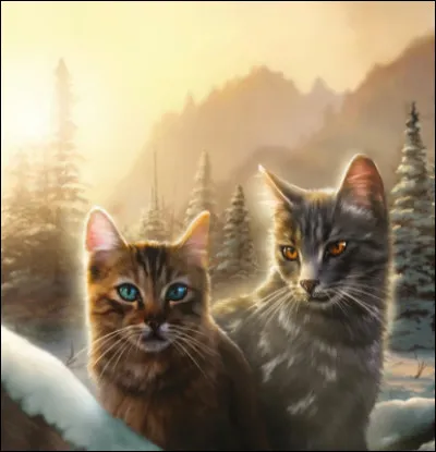 Finalement, tu es nommé apprenti guerrier mais ton mentor est Plume de Roche, réputé pour sa dureté ; que fais-tu ?