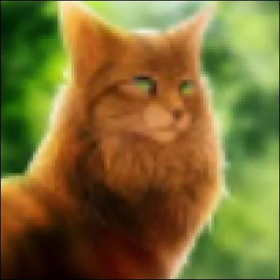 Ton chef te donne ta cérémonie de baptême de guerrier, tu :