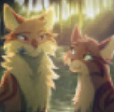 Tu as ton premier apprenti : Nuage de Sauge. Comment l'entraines-tu ?