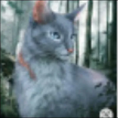 Ton apprenti devient un fort et brave guerrier. Comment te sens-tu ?