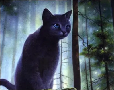 Tu deviens lieutenant et tu te promets à toi-même :