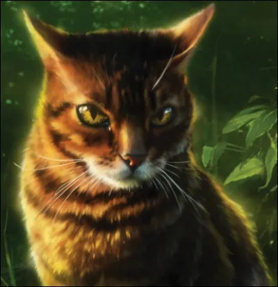 Ton chef meurt au combat, quelle est ta réaction ?