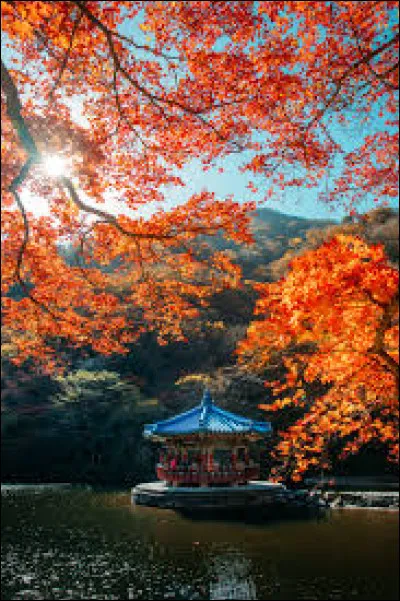 Est-ce que c'est un problème de partir loin et longtemps de ton pays d'origine ?