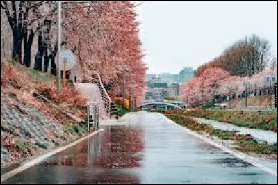 Aimes-tu et/ou supportes-tu les plats épicés ?