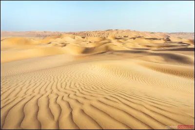 Il y a trois "Terres" qui sont fausses et qui n'existent pas dans 'Le Roi Lion'. Quelle est celle qui existe dans ce dessin animé ?