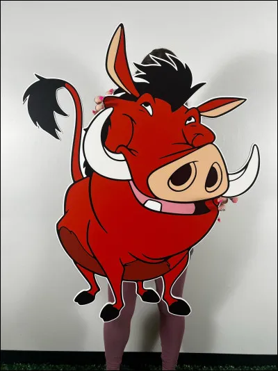 Comment le phacochère se nomme-t-il ?