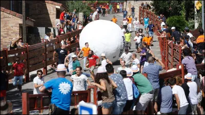 À quoi fait référence cette image ?