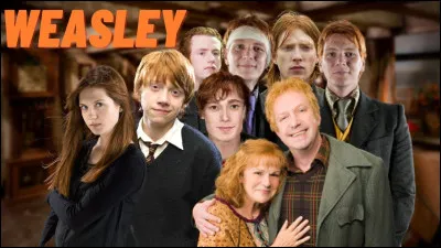 Pour finir, qui sont tes membres pr&eacute;f&eacute;r&eacute;s de la famille Weasley ?