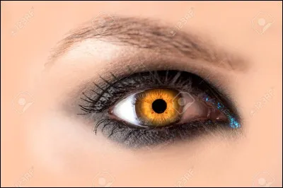 À quel film appartient cette réplique : «On me voit ; on me voit plus ; on me voit plus ; on me voit» ?