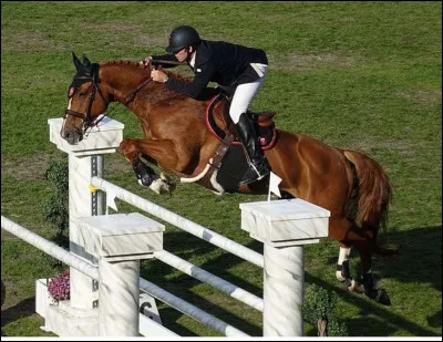 Quelle est cette discipline ?