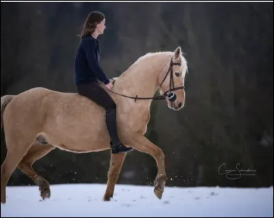 Quelle est sa robe ?