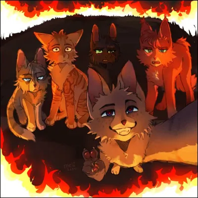 Alors, un petit vrai ou faux pour se changer un peu les id&eacute;es !Est-ce vrai qu'&Eacute;toile Solitaire a du lien de sang avec �il de Myosotis ?