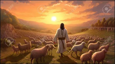 Létoile du Berger est