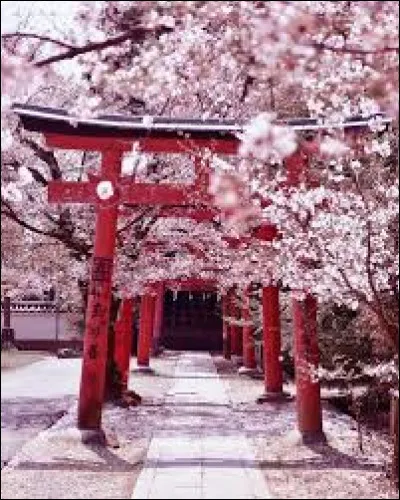 En connais-tu beaucoup sur ce pays ?