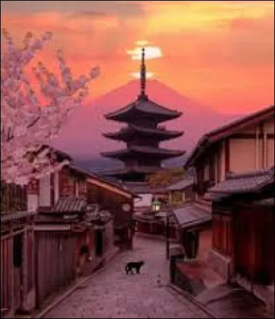 Sais-tu parler japonais et/ou anglais ?