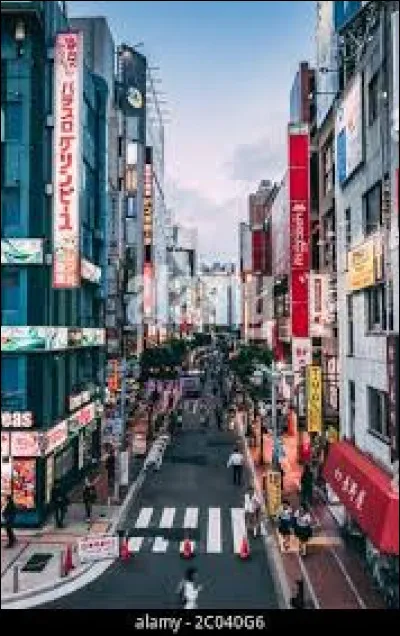 Aimes-tu voyager pendant une longue période ?