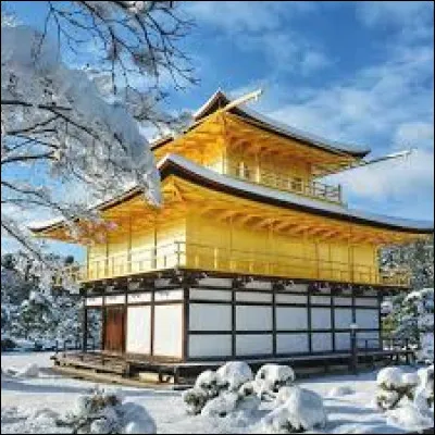 Peux-tu manger du poisson cru ?
(Ce n'est pas obligatoire au Japon mais de nombreux plats sont faits avec du poisson cru.)