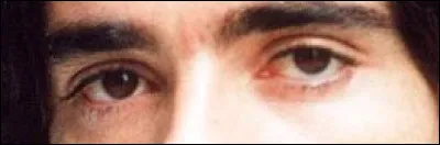 Avec quelle chanson pouvez-vous recouper ce regard ?