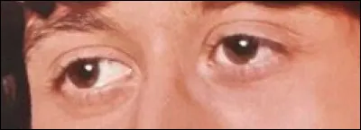 À quelle chanson se réfèrent ces yeux ?