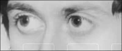 &Agrave; quelle chanson se r&eacute;f&egrave;rent ces yeux ?