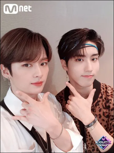 Dans Stray Kids, ton bias est-il Han ?