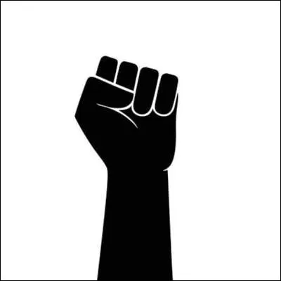 Dans quel succès de lannée 2004 la chanteuse clame-t-elle avoir "toujours le poing levé" ?