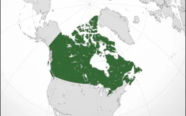 Quiz Canada