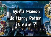 Test  quelle maison de ''Harry Potter'' appartiens-tu ?