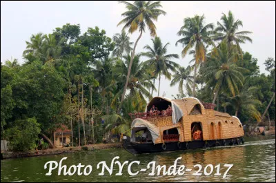 En Inde, quel est le nom de ce paysage unique au monde constitué de lacs, de lagunes, et de végétaux, un paradis au Kerala ?